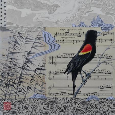 Call of the Redwing 3 (Red-winged Blackbird) | 12" x 12" | acrylic/collage | $595.00